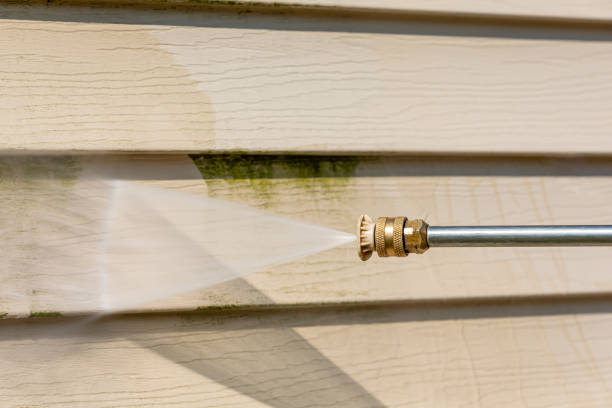 Best Roof Power Washing Services  in Auxvasse, MO